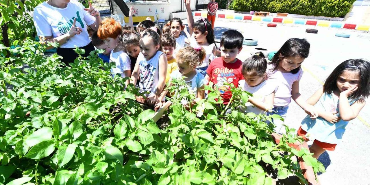 Minikler için tarım atölyesi