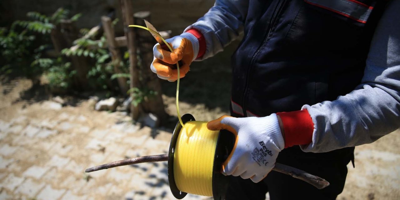 Pamukkale Belediyesi karasinekle mücadelesini sürdürüyor