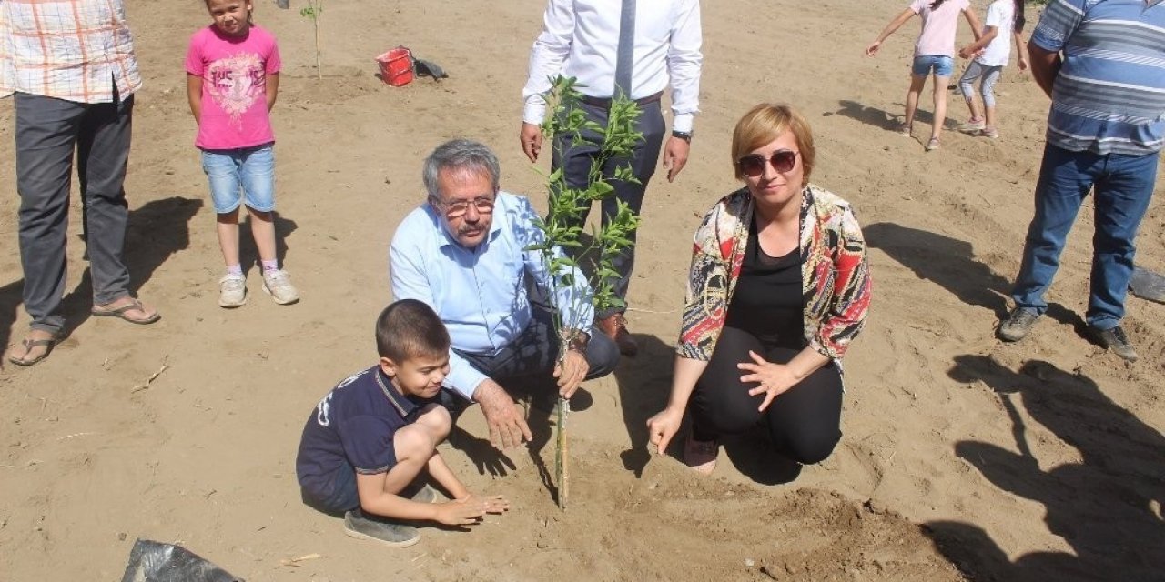 Köyceğiz’de öğrenciler okul bahçesine narenciye fidanı dikti