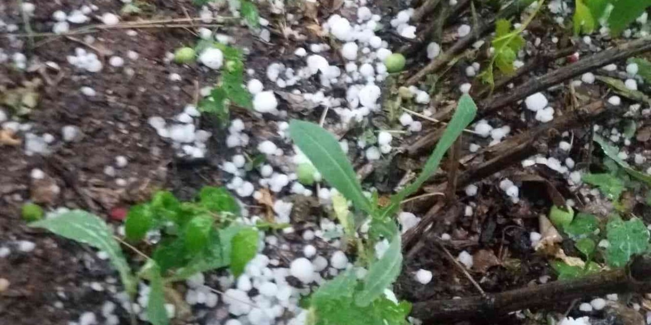 Denizli’de şiddetli yağış ve dolu yaşamı olumsuz etkiledi