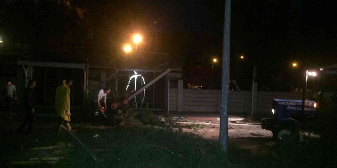 Nazilli Belediyesi’nden fırtınada yaşanan olumsuzluklara anında müdahale