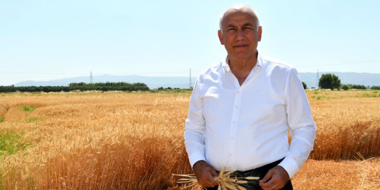 Söke Belediyesi ikinci kez buğday hasadı yaptı