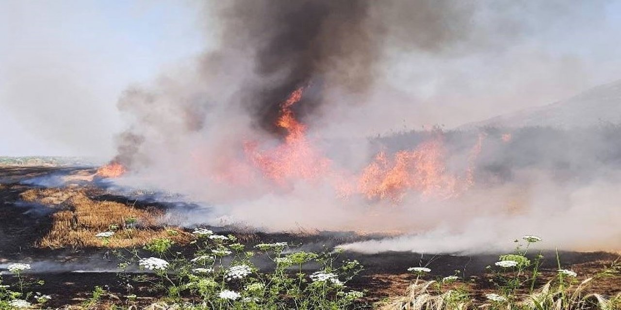 Söke İlçe Tarım Müdürlüğü’nden ’anız yakma’ uyarısı