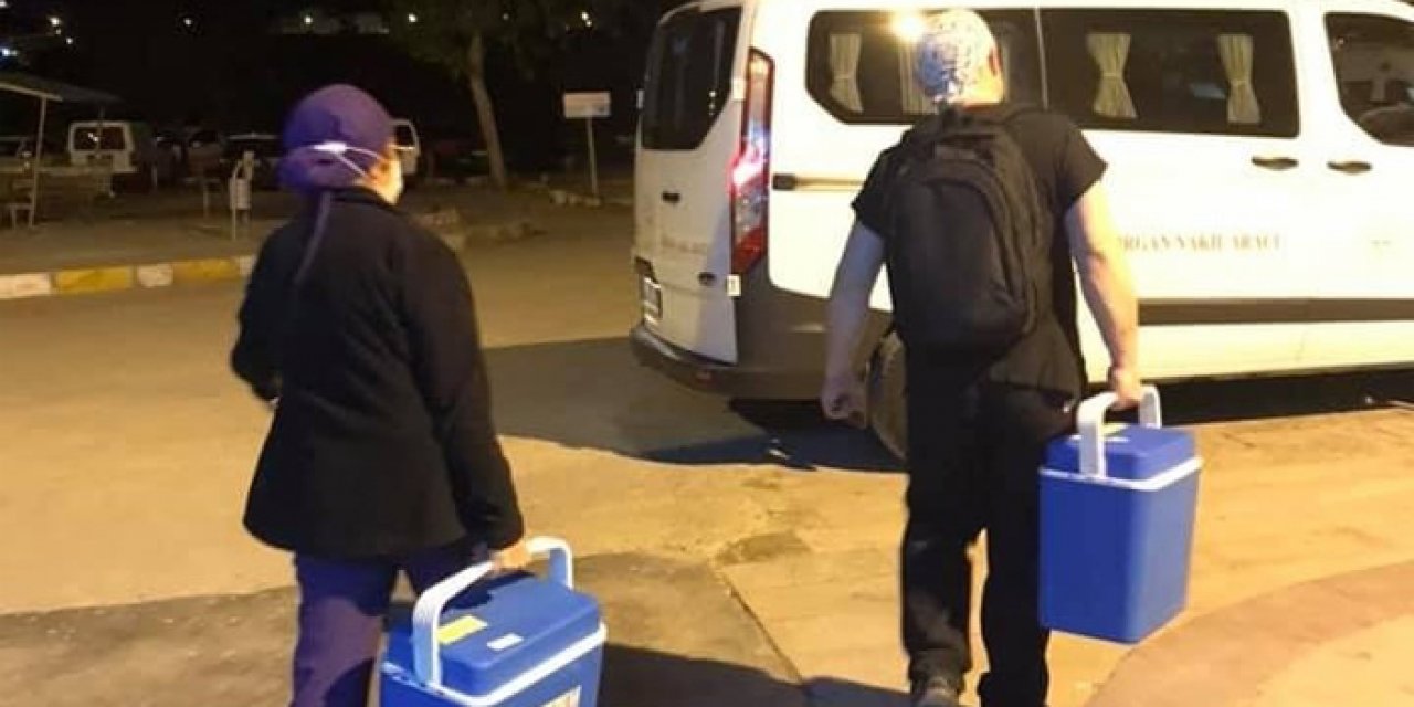 Beyin ölümü gerçekleşen yaralının organları 3 hastaya umut oldu