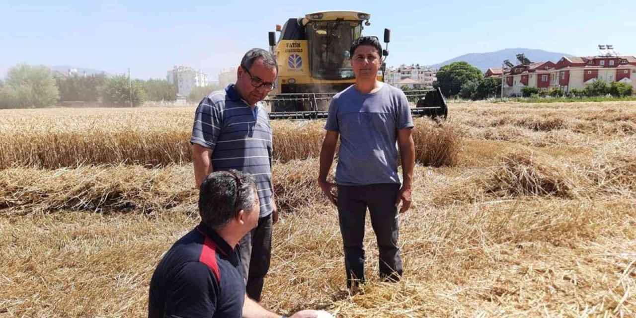Muğla’da biçerdöverler denetleniyor
