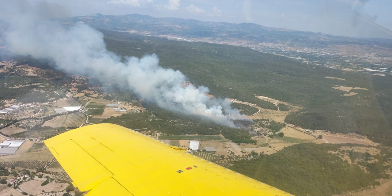 Urla’da ormanlık alan yangını