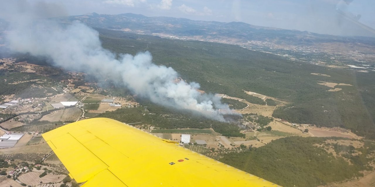 Urla’daki orman yangını kontrol altında