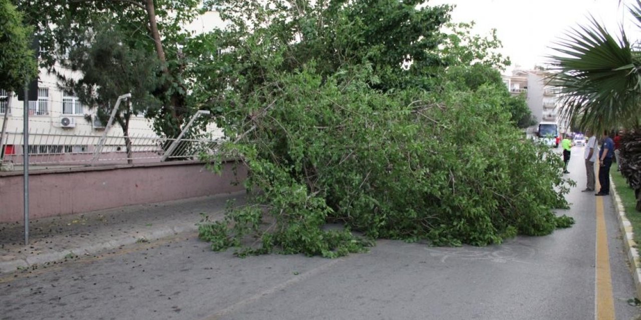 Aydın’da kuvvetli rüzgar ve fırtına bekleniyor