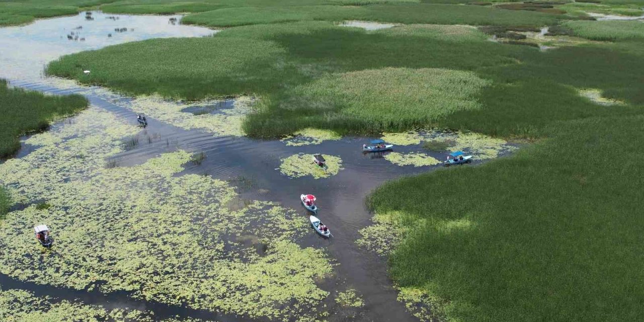 Nilüfer deryasında büyüleyen manzara