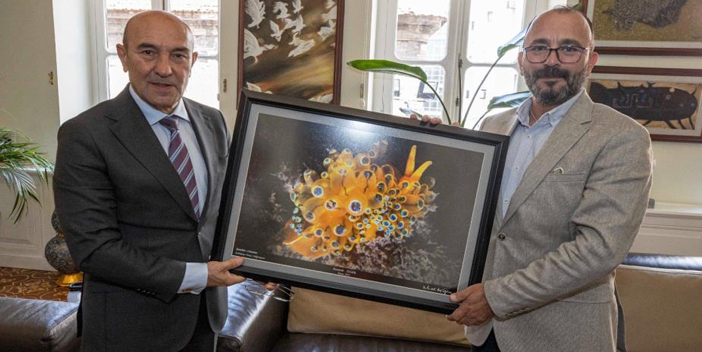 İzmir Körfezi’nde bir ilk: Janolus cristatus görüntülendi