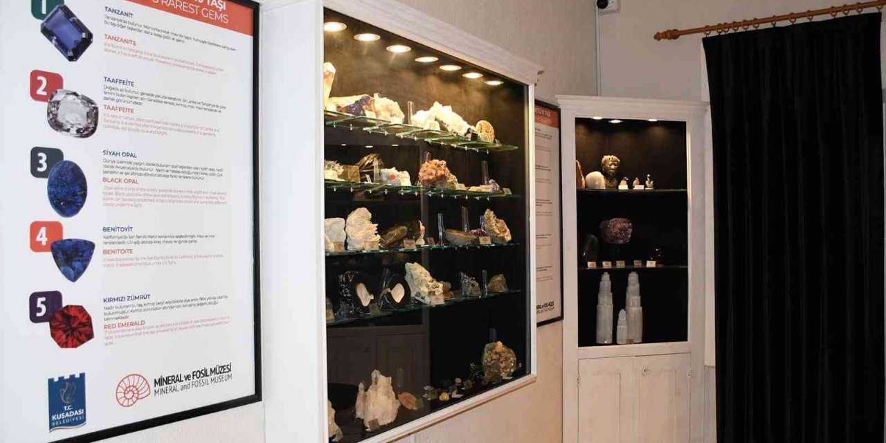 TBK’den Mineral ve Fosil Müzesi’ne  ‘Doğa Tarihi’ kategorisinde ödül