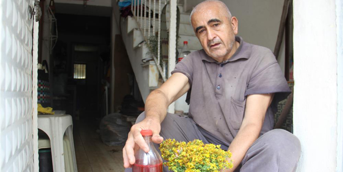 Aydın’da, asırlık gelenekle kantaron yağı yapım sezonu başladı