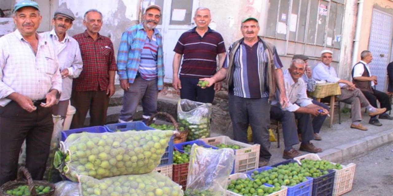İlek sezonu başladı, kilosu 15 TL’ye alıcı buluyor