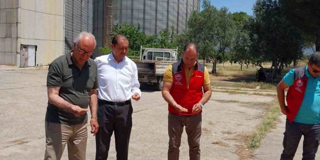Milas TMO Hububat alımlarına başladı