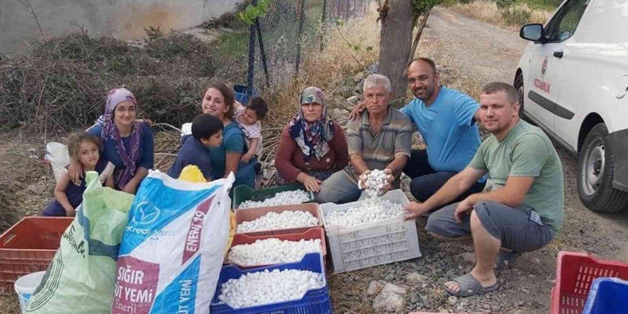 İpekböcekçiliğine destek arttı, üreticinin yüzü güldü