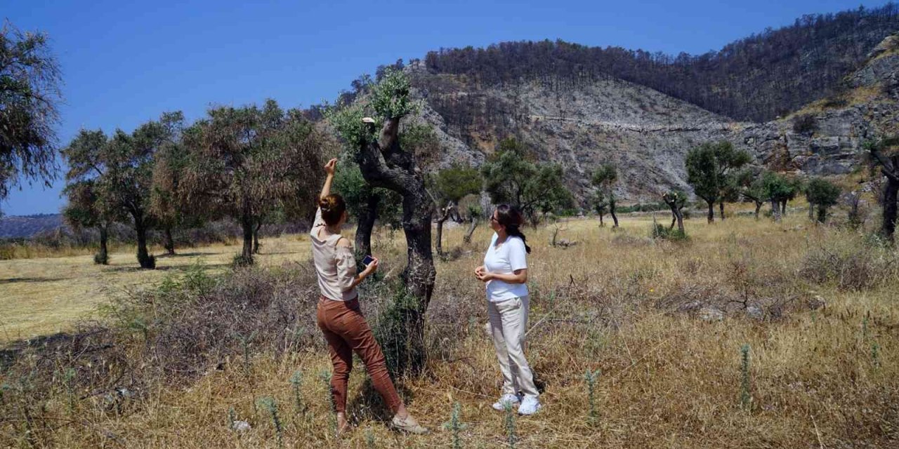 Kadınlara kompost yapım eğitimi