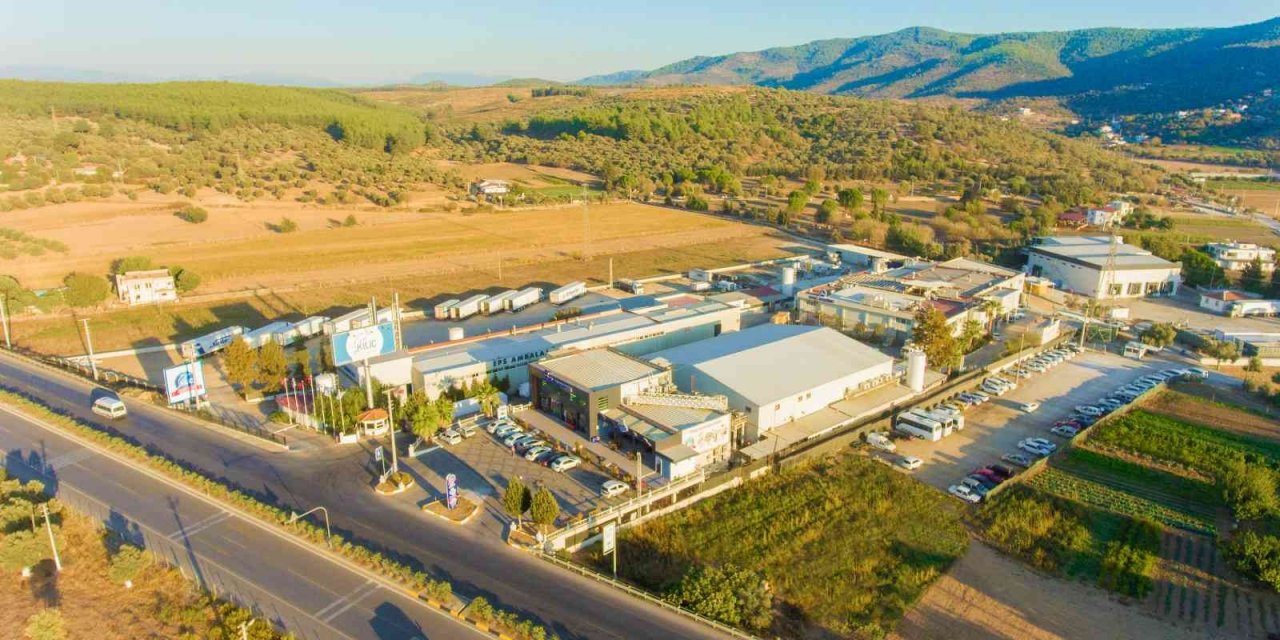 Denizden döviz çıktı