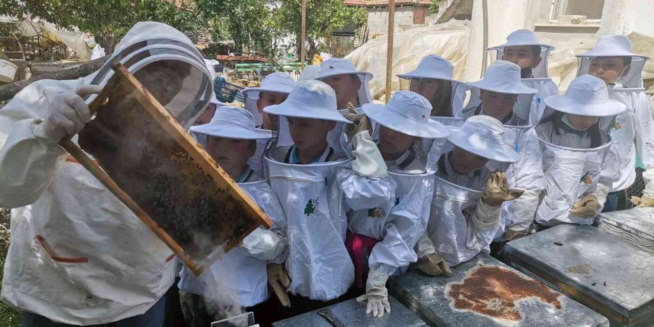 Tatile ‘Doğa Dostu’ olarak girdiler