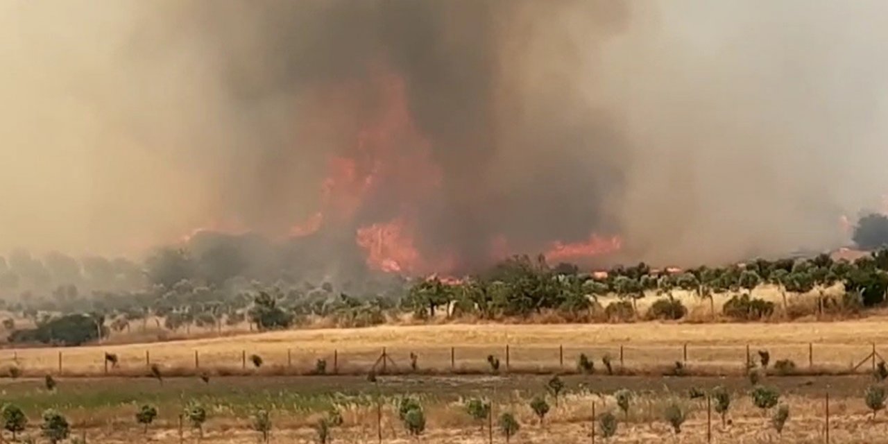 Foça’daki orman yangını yoğun müdahalelerle kontrol altına alındı