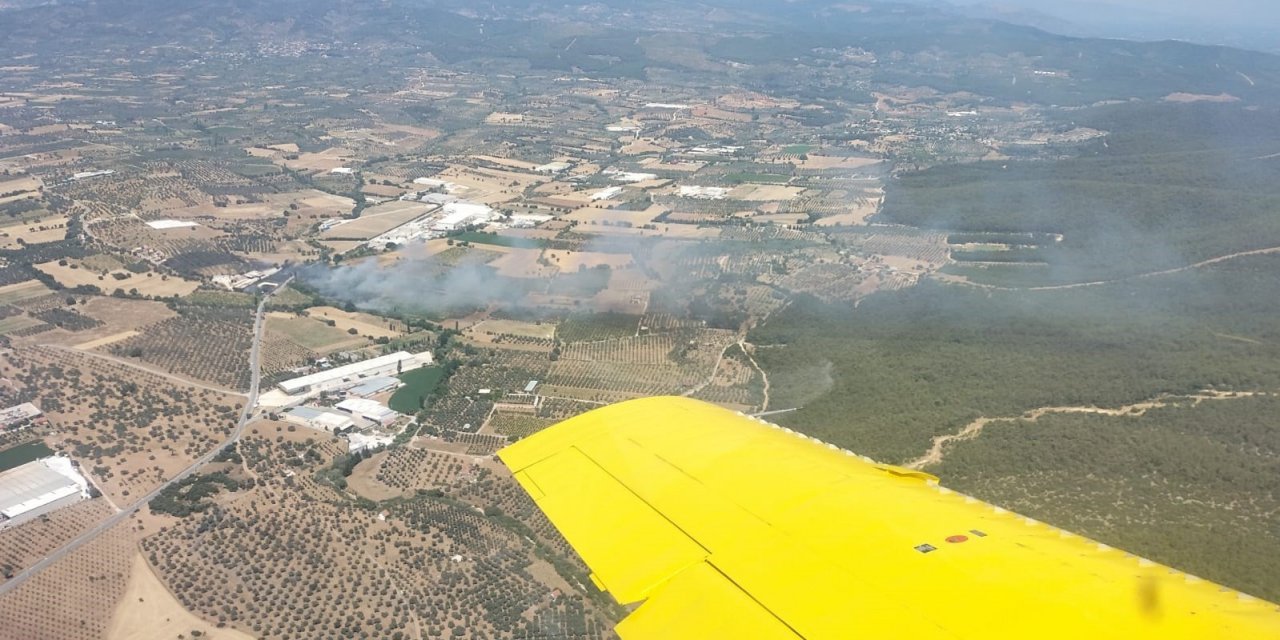 Torbalı’da zeytinlik alanda yangın