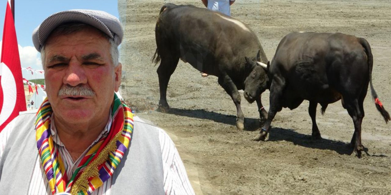 Hızını alamayan kızgın boğa sahibini öldürüyordu