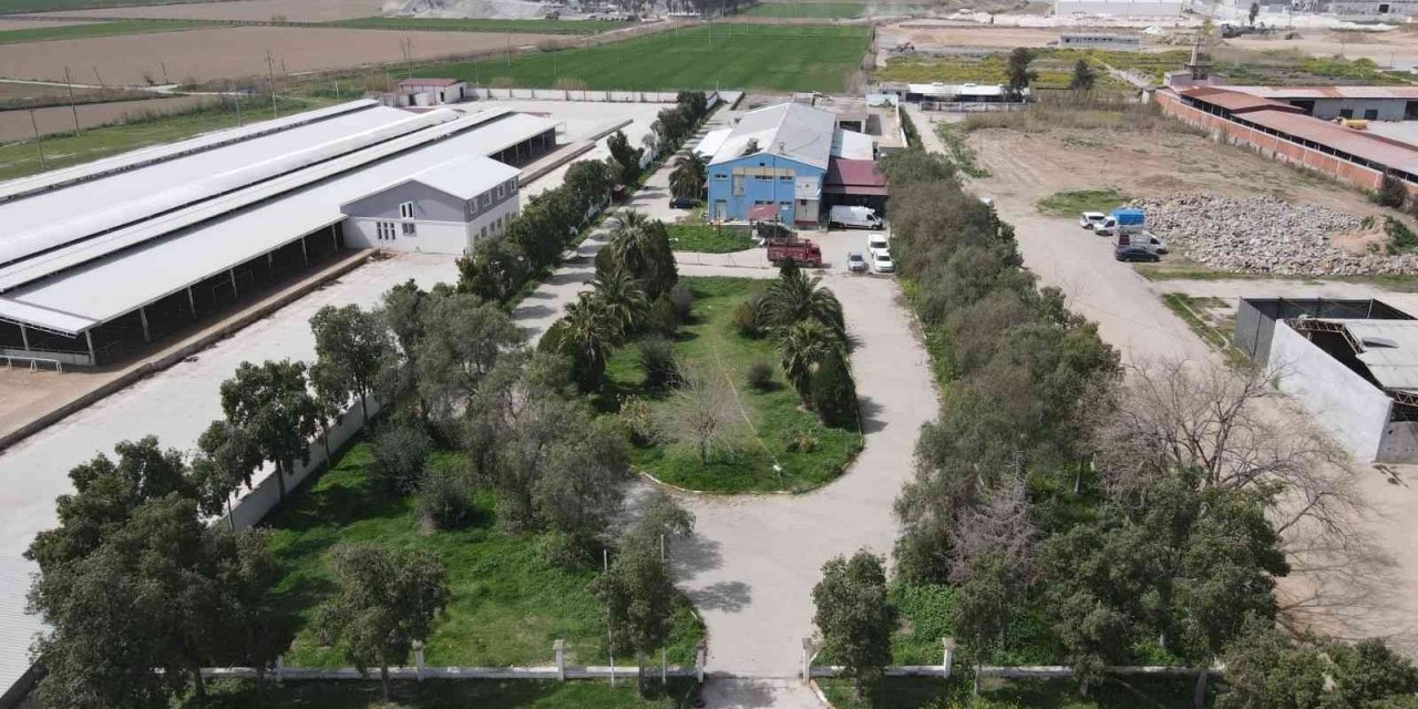 Nazilli’de kurban kesim fiyatları açıklandı