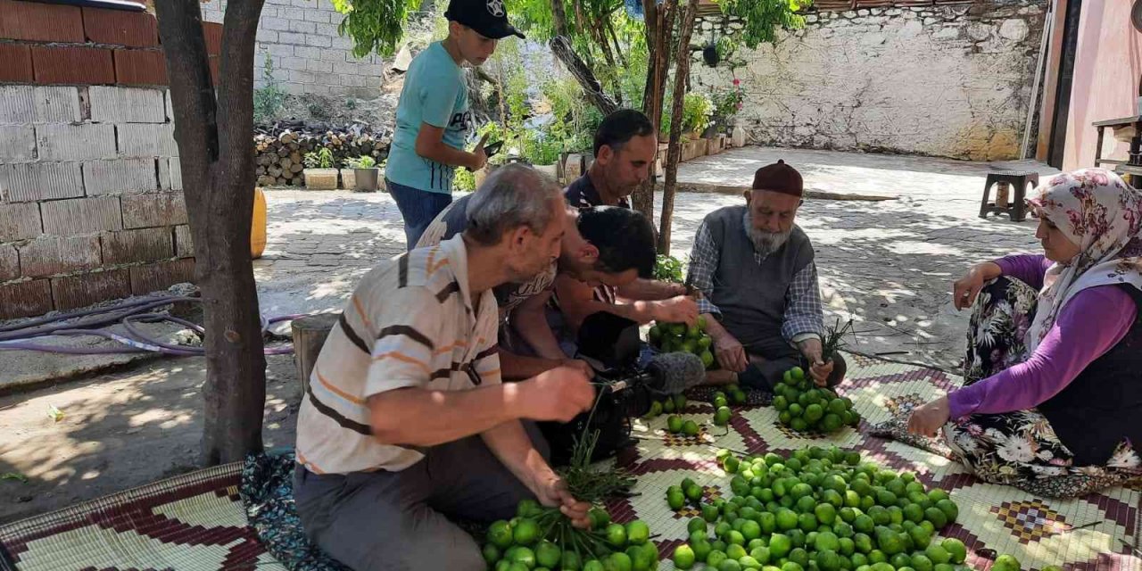 Aydın’da ilek mesaisi başladı