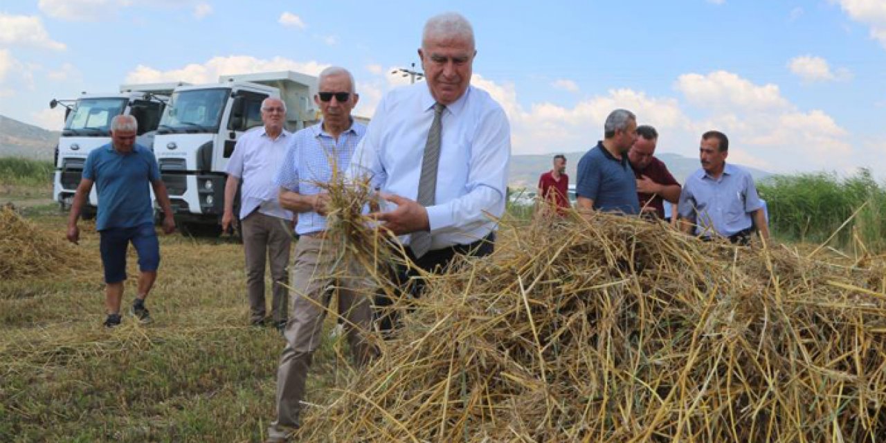 Başkan Atay’dan buğday hasadı