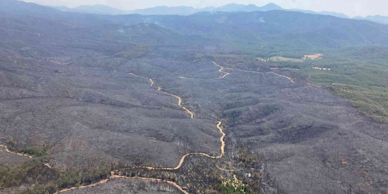 Yangının büyüklüğü gözler önüne serildi