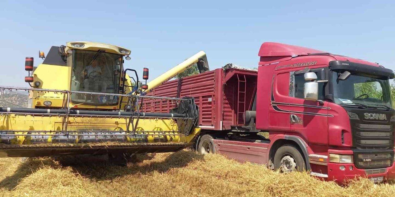 ADÜ Ziraat Fakültesi buğday hasadına başladı