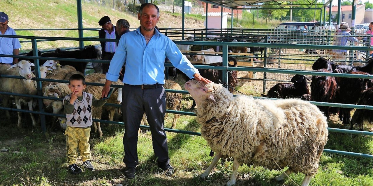 Yaklaşan Kurban Bayramı besicileri umutlandırdı