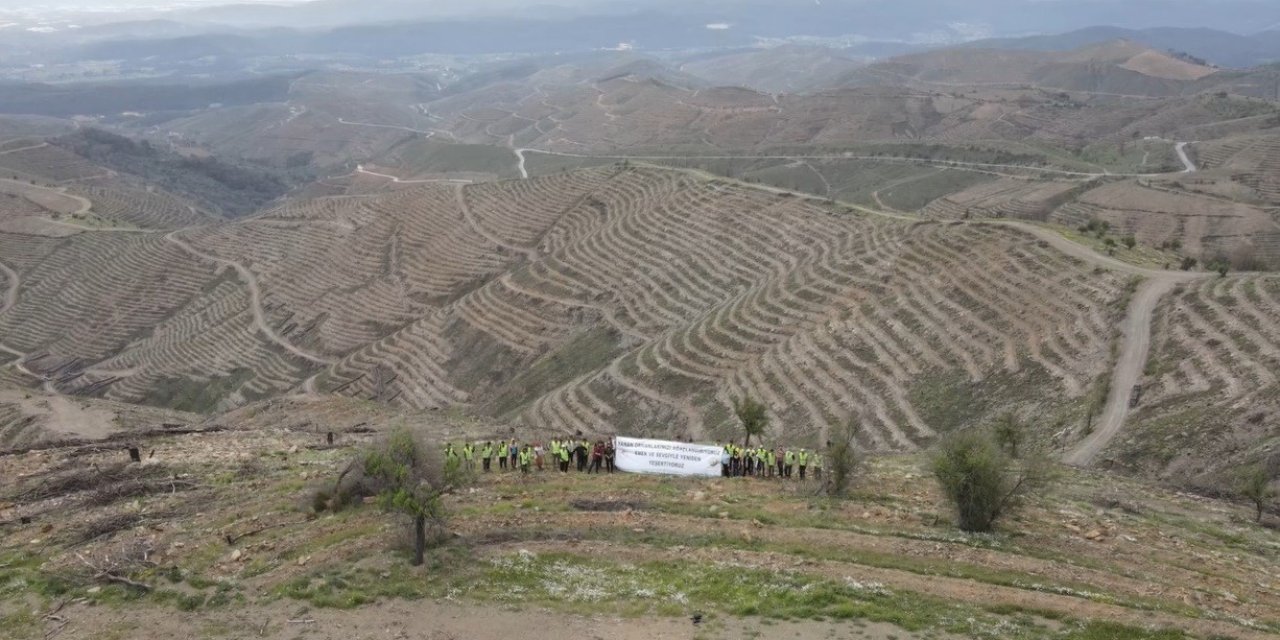 Yanan alanlarda umut “yeşerecek”