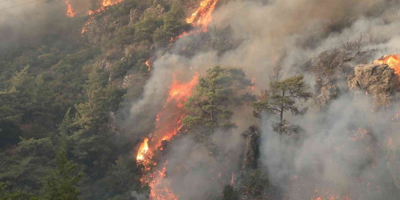 Orman yangınlarına karşı mücadele seferberliği