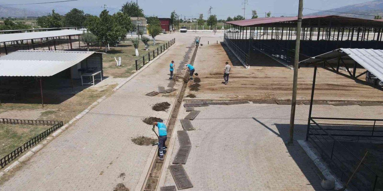 Hayvan Pazarı bayrama hazırlanıyor