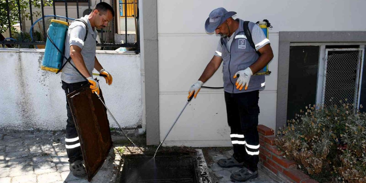 Kuşadası’nda haşere ve kara sineğe karşı etkin mücadele