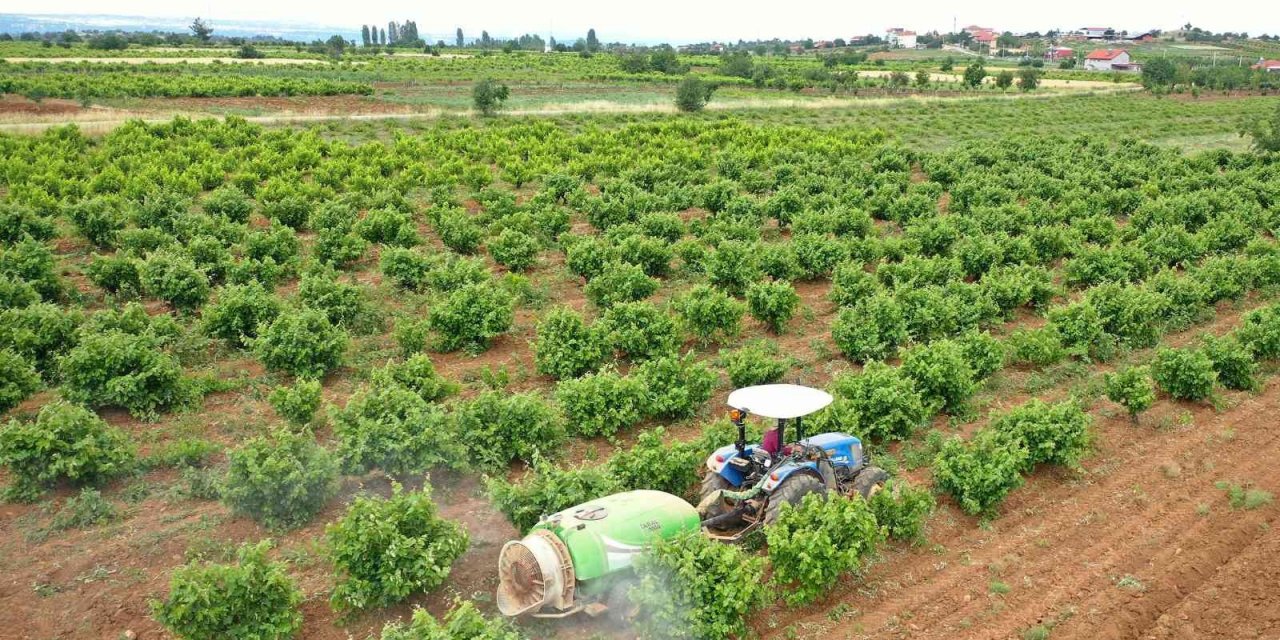 Büyükşehirden üreticiye zirai ilaç desteği