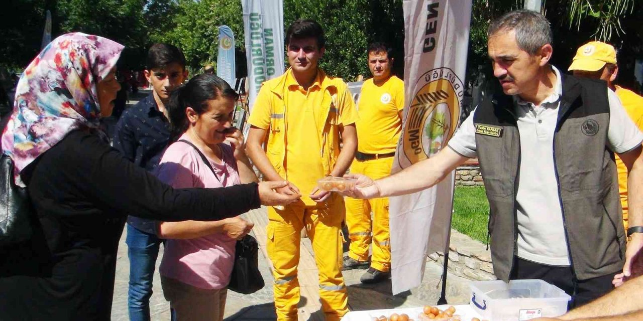 Orman şehitleri için lokma hayrı