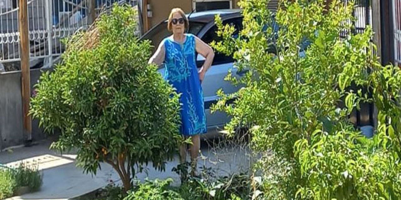 İlginç görünümlü sarmal gövdeli ağaç nane