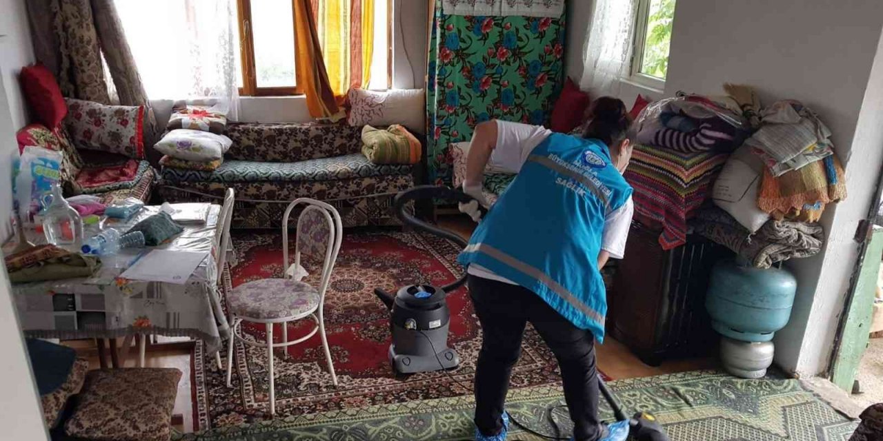 Büyükşehir Kırsaldaki Çınarlarına sahip çıkıyor