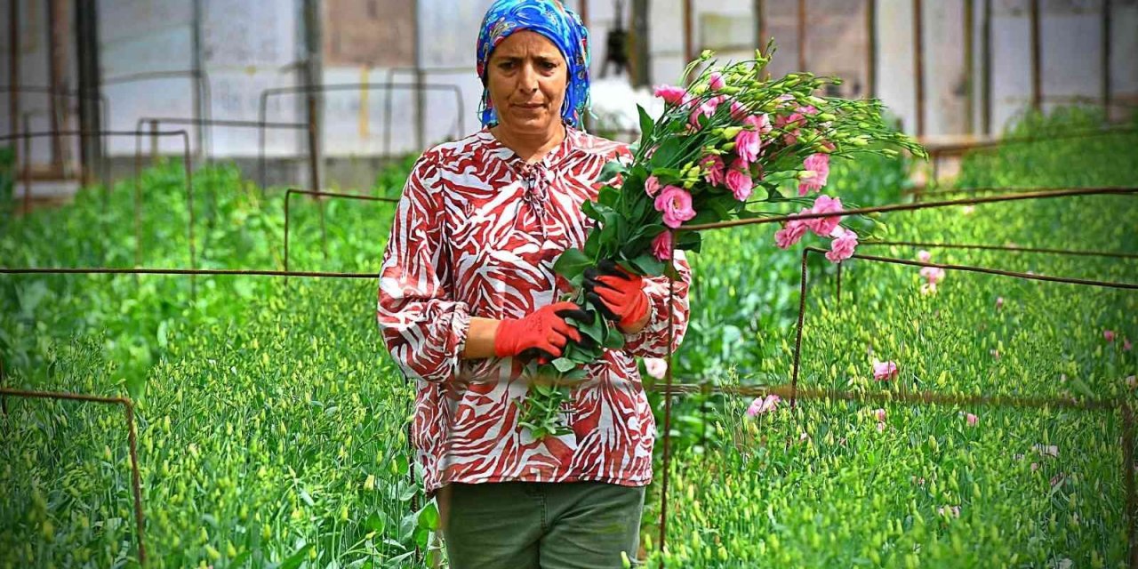 Bademler’in çiçek üreticisi Hollanda borsasında