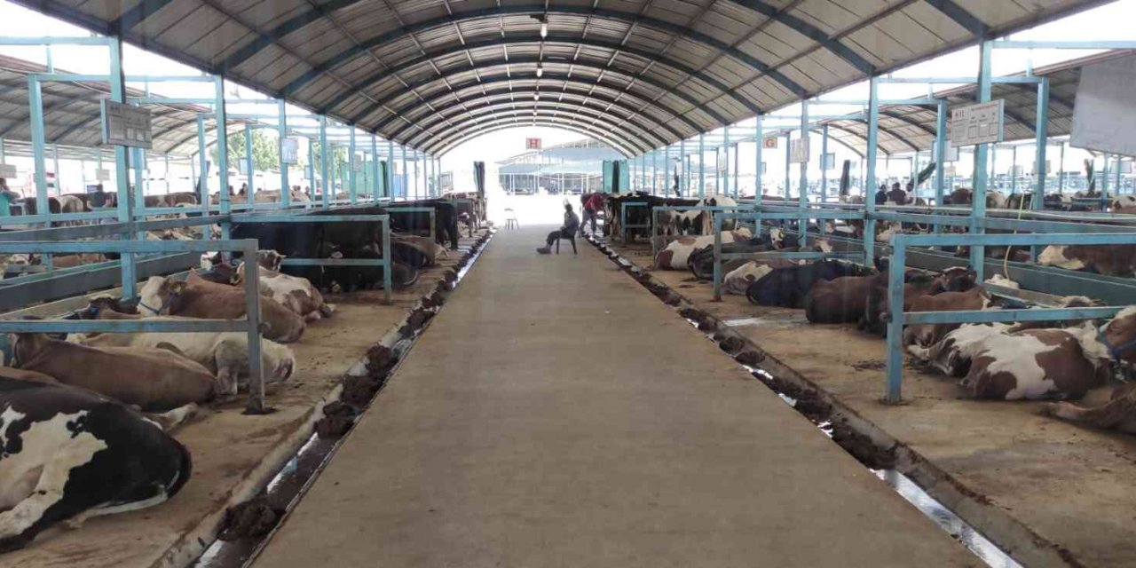 Pazarda kurbanlık var alıcı yok