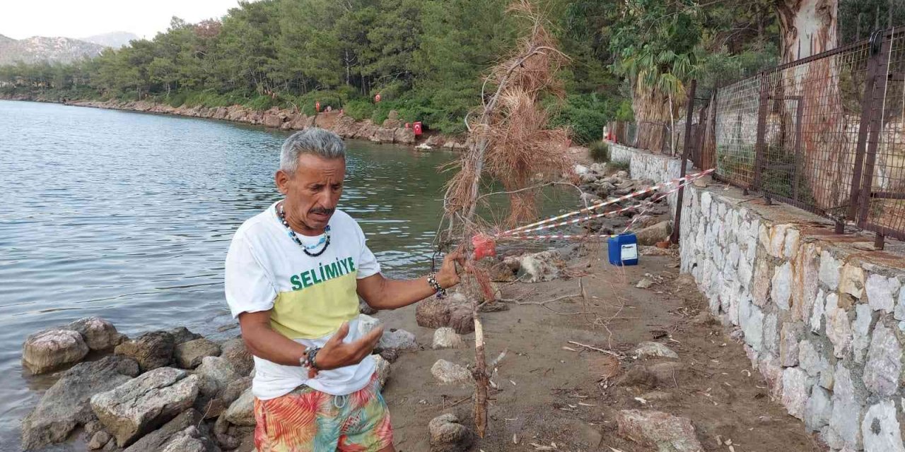 ’Bayrak Dede’den yangın nöbeti