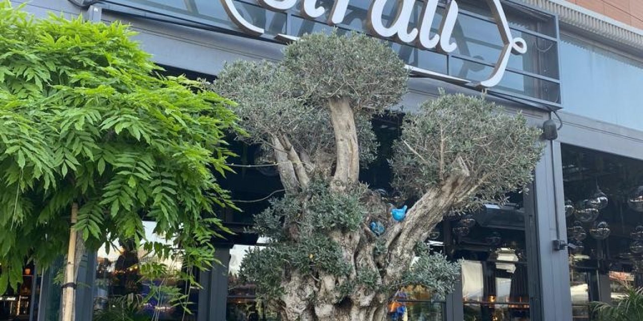 Sıralı Kebap bu yaz İstanbul’da, seneye Bodrum’da