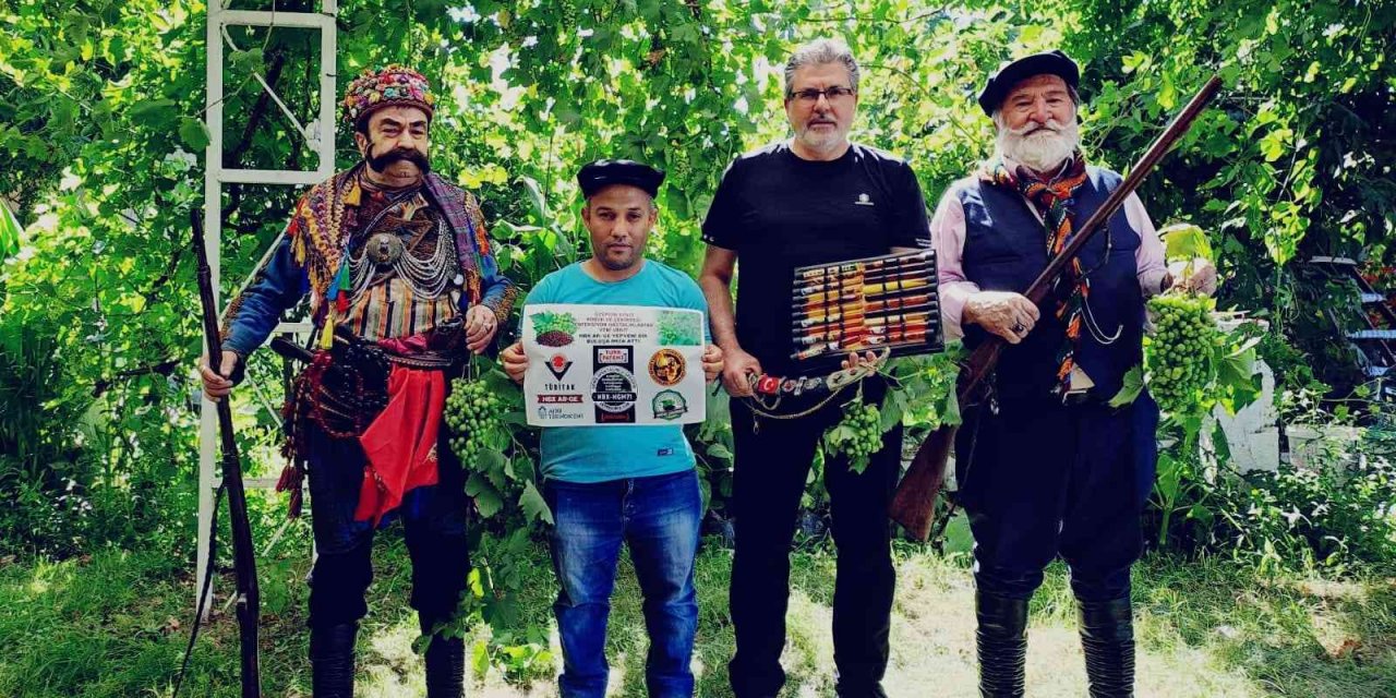 HBX AR-GE Yörüklerin izini sürdü hastalıklardan  ari yaşamlarının sırrını üzümün atası korukta buldu.