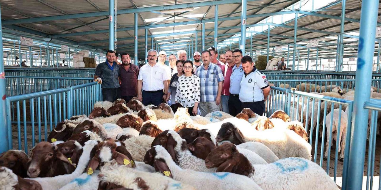 Hibe desteği 200 üreticinin yüzünü güldürdü