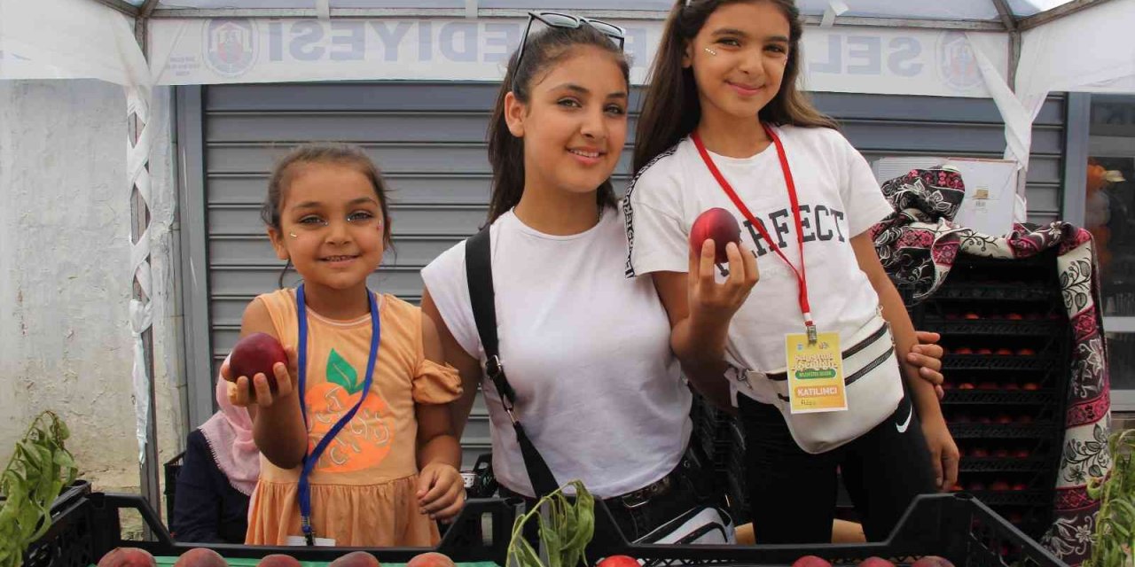 Selçuk, şeftali ile şenlendi