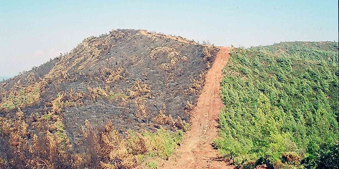 Bu şerit yangınlara geçit vermiyor