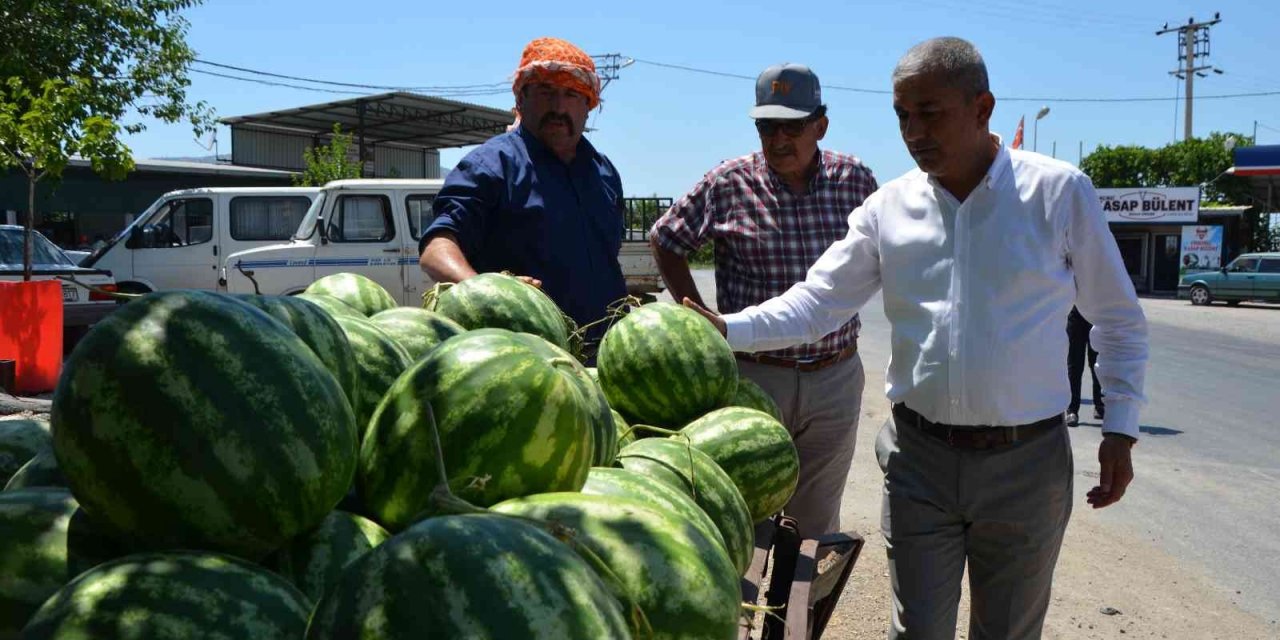 Cincin Karpuzu, tezgahlarda ki yerini aldı