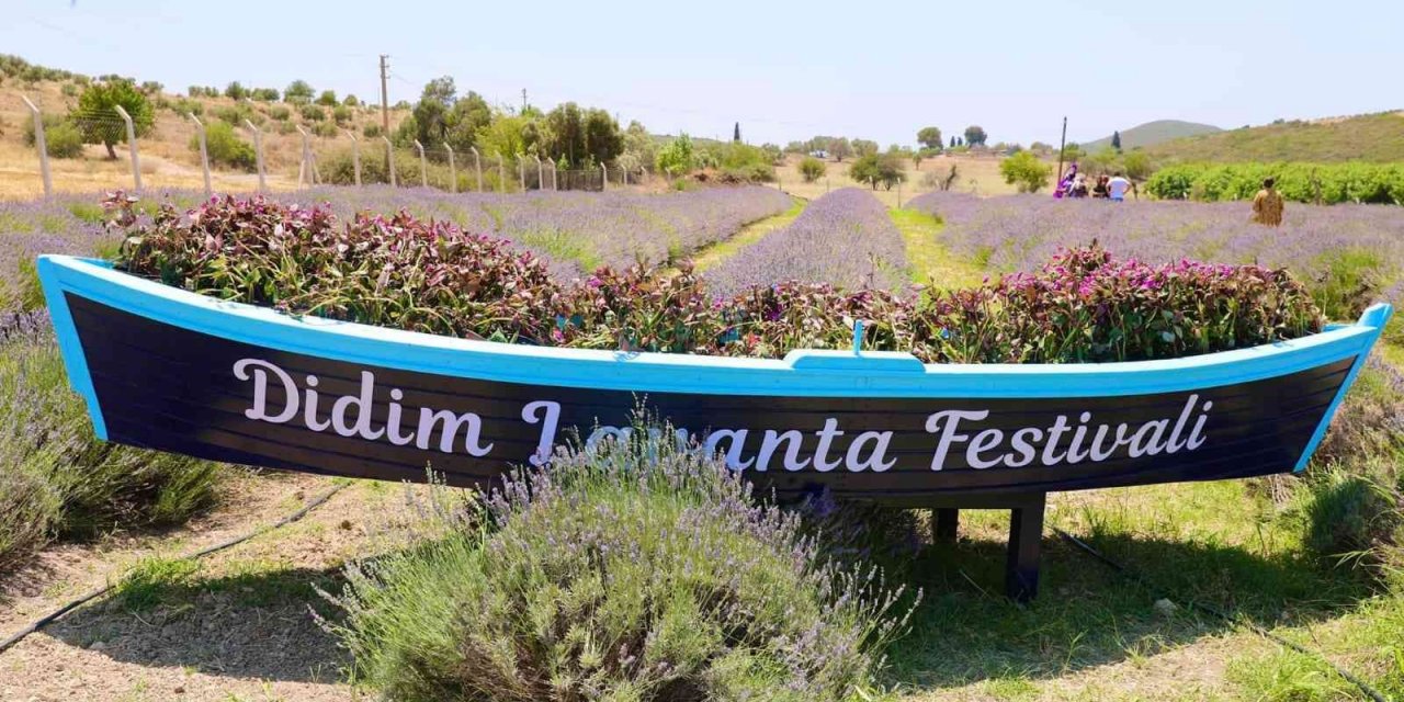 Didim Lavanta Festivali için gün sayıyor