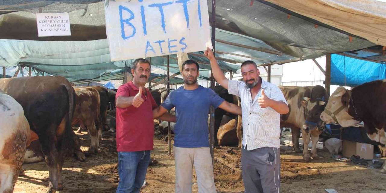 İzmir’deki kurban pazarlarında hayvanların büyük çoğunluğu satıldı